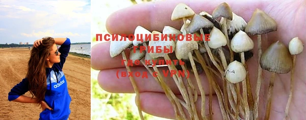 PSILOCYBIN Алексеевка