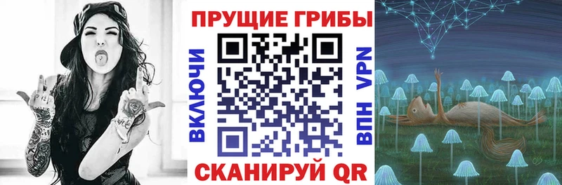 Галлюциногенные грибы Magic Shrooms  где можно купить   Слюдянка 